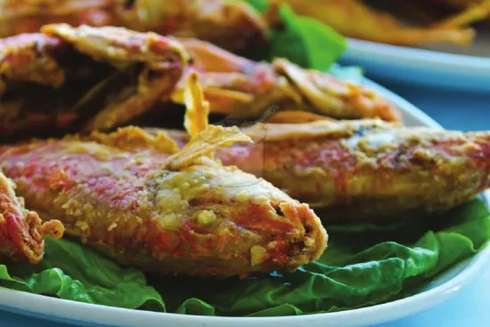 Barbun Balığı