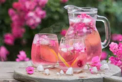 Begonvil Limonatası