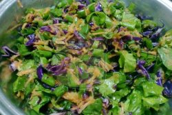 Kıvırcık Yeşil Salata