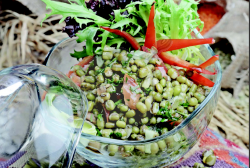 Maş Fasulyesi Salatası