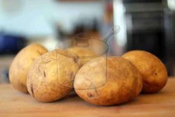 Patates Silkmesi