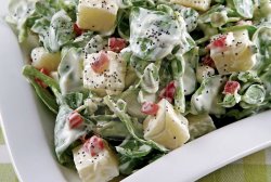 Semizotu Salatası