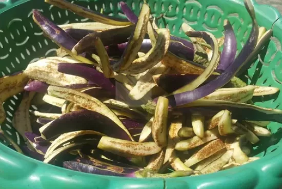 Patlıcan Kurusu Turşuluk