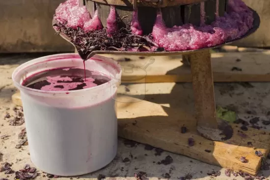 Şerbetin Çıkarılması