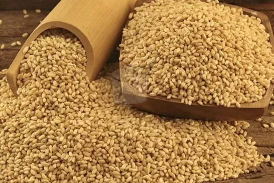 Un, Bulgur, Dövme (Yarma) Yapımı